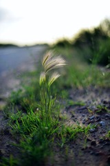 DSC_8173.jpg