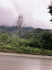 B8F84056-8C32-41FD-A4D7-9BDD8350840A/L0/001