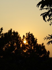 8066B274-0145-4710-A2DF-639343954623/L0/001