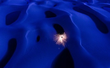 DJI_0334