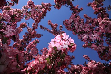 IMG_6283.JPG