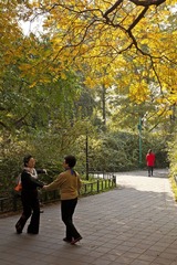 IMG_6841-S