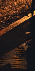 D069D2B1-C360-479A-B782-B4DF5926982B/L0/001