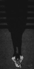 B4F6A367-7849-4F36-B1A4-A9849A42F107/L0/001