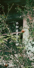 34F18B07-F38C-4819-B6C6-B76296B97BB4/L0/001