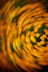1000067533