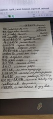 1000010032