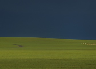 138BB617-8B01-4092-87DF-15019FFF046A/L0/001