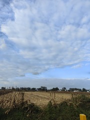 1000017265