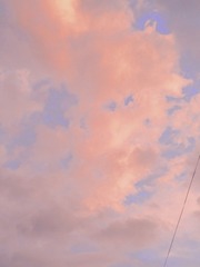 1246644