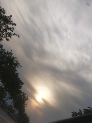 3078960