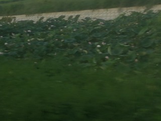 215618