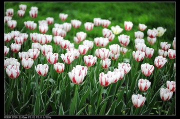Y0F_2412x -