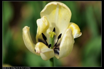 Y0F_2341 -