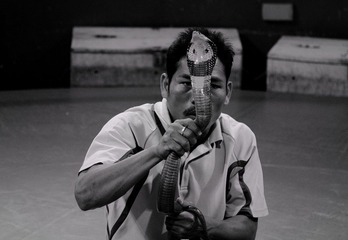 玩蛇的