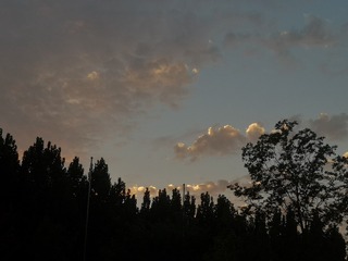 446171