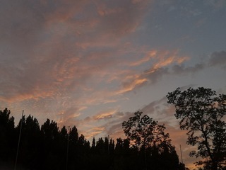 446174