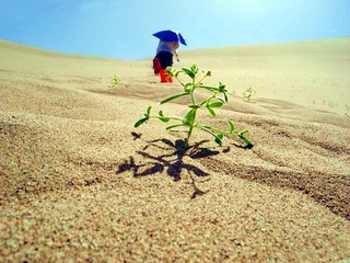 DSCN9306.jpg