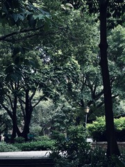 CD89869F-6161-4DDF-9705-80E0248EC6A0/L0/001