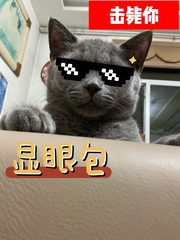 9F24681C-486C-4AA3-89BB-B696414A7490/L0/001