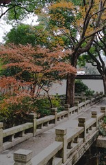 72160AB0-36CD-421A-8622-4EB40156EFBA/L0/001