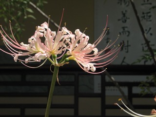 E8401315-4A1C-4C98-9588-31C706D857E8/L0/001