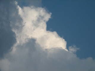 94169838-F668-4523-B780-11A80967860F/L0/001