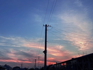 790D1613-5FDE-470D-8A14-CB13686B6A26/L0/001