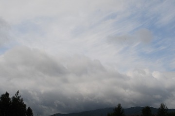6F948931-2C3C-46B5-A4E8-969008C03A5C/L0/001