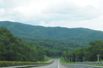 174E5F37-5882-48A0-AC6E-4F3987349C38/L0/001