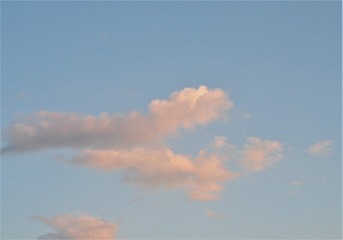 D09441B6-1D31-47A6-9779-6586D035A2A0/L0/001