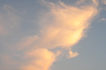 B42C8508-640F-4F56-99AE-8E33BBA230A4/L0/001