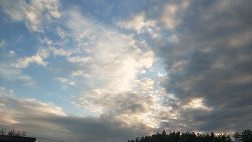 4595823