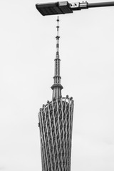 1000023728