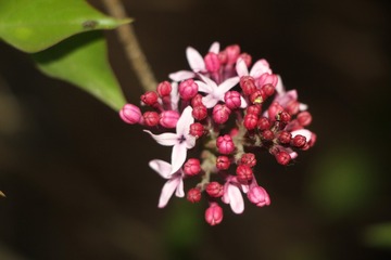 609108