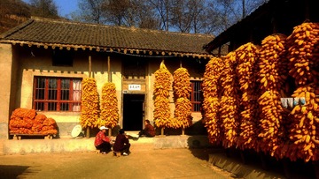 农家小院