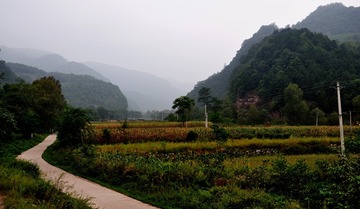 雾锁关山