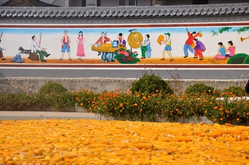 乡村的秋天