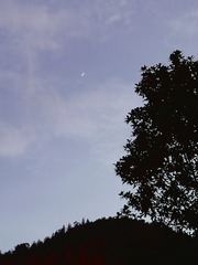 111