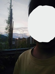 2497455