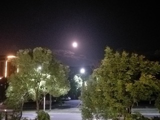 406344