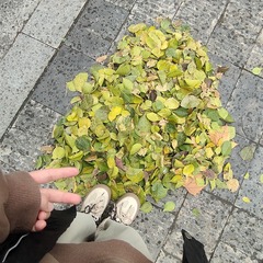 1000007397