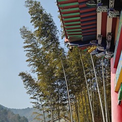1000089309