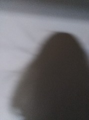 1571187