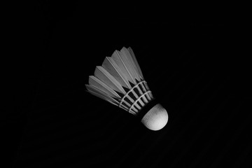 F3C27068-C541-4F98-9A4D-A1D845B97AF4/L0/001