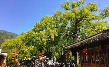 F6FA5700-7C8B-4DDF-AD1B-4192F5B283CD/L0/001