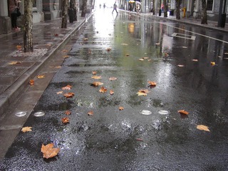 雨后1