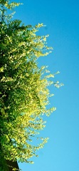 11B08A82-13A5-4D01-9C3C-12C8286A1D72/L0/001