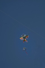 1000011142