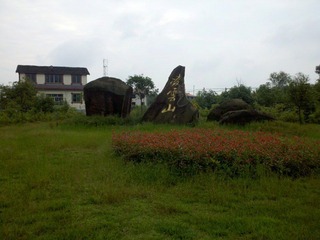 IMG_20121003_104753.jpg